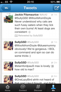 Example Sullys Tweets